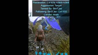 Taming Pteranodon Max lv ark mobile dndinhgaming arksurvivalevolved games [upl. by Colson334]