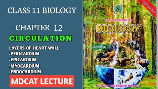 LAYERS OF HEART WALL  PERICARDIUM  CLASS 11 NEW BIOLOGY SINDH amp FEDERAL MDCAT LECTURE [upl. by Ledda392]