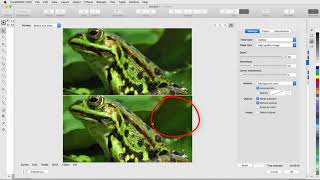 Convert Bitmaps to Vectors with AI  CorelDRAW for Mac [upl. by Finlay]
