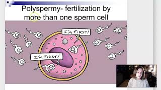 Week 3 Lecture Part 1 Fertilization and Implantation [upl. by Htiekel]