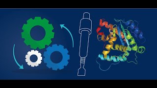 GST tag Affinity Chromatography A Technique for Outstanding Results from the Purification of Recombi [upl. by Manvel]