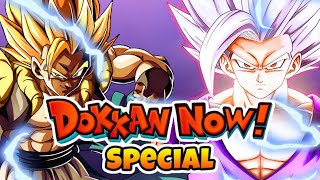 ✨Dokkan Now Livestream 9th Year Anniversary details amp More✨ [upl. by Odom]