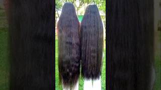 💯Hibiscus Black Seeds Serum For Long Strong Thick Hair shorts haircare longhair viral trending [upl. by Aicnilav]