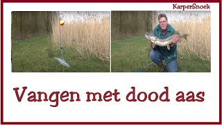 Vangen met DOOD AAS  snoek [upl. by Frye]