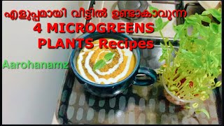 Microgreens Recipes In Malayalam  4 Easy Microgreens Recipe  Pumpkin Soup Recipe By Aarohanamz [upl. by Yehtomit]