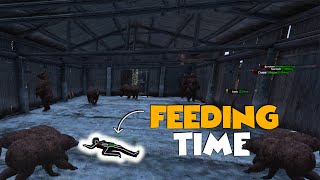 DayZ Admin FEEDS CHEATERS To A Pit Of BEARS Ep47 [upl. by Drol927]