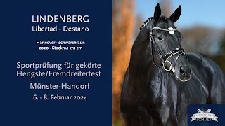 LindenbergSportprüfung für gekörte Hengste MünsterHandorf 6  8 Februar 2024Fremdreitertest [upl. by Bekah]