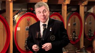 Personal Sommelier Video Degustazione Amarone DOC 2006 Bonazzi amp Boscaini [upl. by Yllas174]