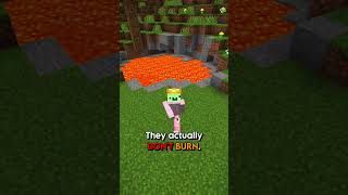 Minecraft Lava Pools SECRET use 🔥👀 [upl. by Anaiad]