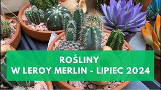 ROŚLINY W LEROY MERLIN  LIPIEC 2024 [upl. by Xam908]