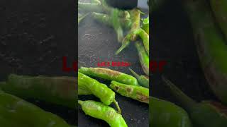 Blistered Shishito peppers it’s hot🌶️ [upl. by Nivej]