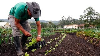 Importancia de la Agricultura Orgánica  TvAgro por Juan Gonzalo Angel [upl. by Petrina659]