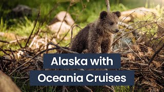 Alaska with Oceania Cruises  Panache Cruises [upl. by Katya]