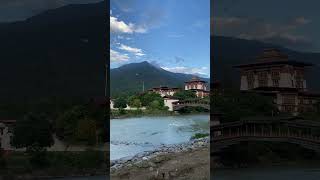 Bhutan video Punakha Dzong bhutanculture bhutan discoverbhutan [upl. by Baseler]