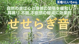 【耳鳴り 治療音】自律神経を整える音 耳鳴り 睡眠 不安感の軽減 No1 [upl. by Freeland786]