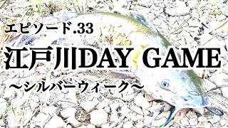 エピソード33 【江戸川DAY GAME〜シルバーウィーク〜】 [upl. by Elitnahc]