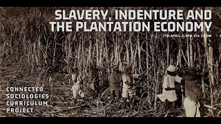 Slavery Indenture and the Plantation Economy [upl. by Gardell39]