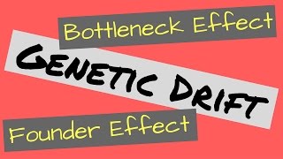 Genetic Drift  Founder Effect and Bottleneck Effect Explained [upl. by Averi]