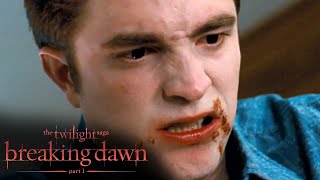 Edward Does Everything to Save Bella Scene  The Twilight Saga Breaking Dawn  Part 1 [upl. by Ahsaeit]