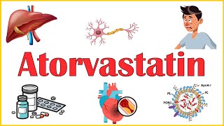 Atorvastatin  Everything You Need To Know Mechanism Of Action Adverse Effects amp Indications [upl. by Landan]