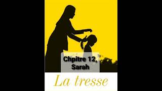 12  La tresse  Chapitre 12  livre audio  Laetitia Colombani [upl. by Jonas106]