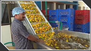 Mango Ripening amp Processing Plant in GujaratKodinar [upl. by Akir]