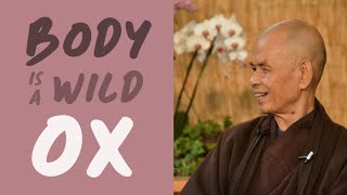 Body is a Wild Ox and Mindful Awareness is The Ox Herder Feb 1998 EN subtitles thichnhathanh [upl. by Meer]