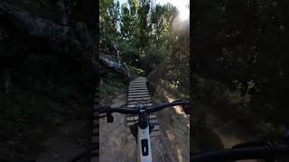 Loving the wooden ramps and bridges on this trail mtb mountainbike mountainbiking aribikes [upl. by Erodroeht]