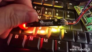 Individually addressable controlled RGB LEDs [upl. by Llewoh]