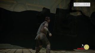 SHADOW OF THE COLOSSUS tecnica de speedrun feita perfeitamente 6 colosso [upl. by Charlena]