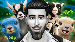 Devenir RICHE quavec des MINIMOUTONS 🐏 cest surprenant   CHALLENGE SIMS 4 [upl. by Riek]