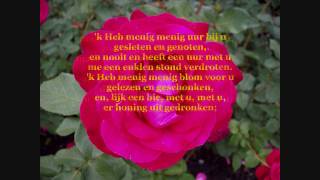 Guido Gezelle  Gedicht Dien avond en die rooze [upl. by Anialed]