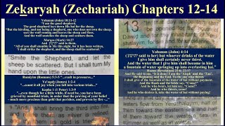 Zekaryah Zechariah Ch 1214 quotIN THAT DAYquot [upl. by Khajeh]