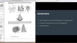 Thema 7  Exocriene en endocriene klieren [upl. by Rein]