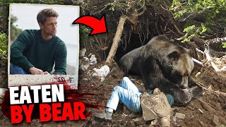 The Most HORRIFYING Bear Attacks MARATHON [upl. by Weinreb871]