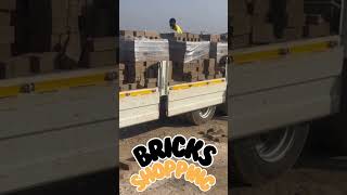 Bricks Shopping villagehouse villagebuilding shortvideo [upl. by Coit]