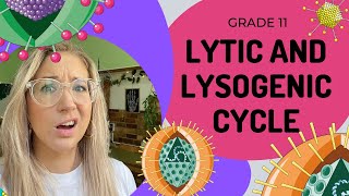 Virus Reproduction  Lytic and Lysogenic cycles [upl. by Waiter]