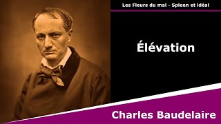 Élévation  Les Fleurs du mal  Poésie  Charles Baudelaire [upl. by Laon871]