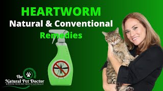 Heartworm Disease Natural amp Conventional Remedies with Dr Katie Woodley  The Natural Pet Doctor [upl. by Krystyna64]