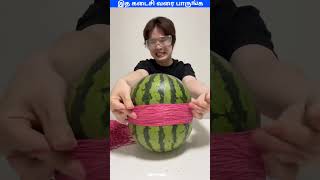 🍉Watermelon VS 250 Rubber Band  viral trend funny shortsfeed lifehacks asmr shortstrend [upl. by Yretsym]