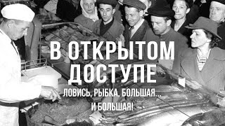 Ловись рыбка большая И большая  Архивные кадры В открытом доступе [upl. by Aerdnaid975]