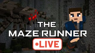 Minecraft MazeRP Livestream Section runs [upl. by Prendergast]