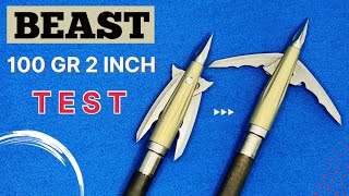 BEAST by BOWMAR 100 gr 2quot Broadhead Test [upl. by Orvan]