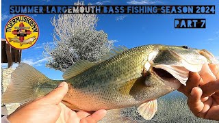 SUMMER LARGEMOUTH BASS FISHING SEASON 2024 PART 7 [upl. by Thurstan234]