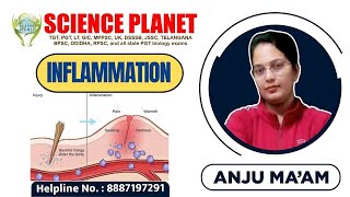 INFLAMATION II BY ANJU MAM II SCIENCE PLANET II [upl. by Neerol]