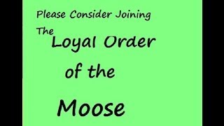 Want to Join the Moose  Many Benefits for young and old or Women of the Moose Intl Club [upl. by Oremar]