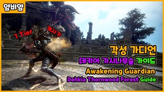 BDO 각성 가디언 데키아 가시나무숲 가이드  Awakening Guardian Dehkia Thornwood Forest Guide [upl. by Wolff]