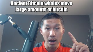 Ancient Bitcoin Whale from 2009 makes a move Is Satoshi about to drop the Bitcoin bomb [upl. by Bili134]