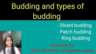 Types of buddingBuddingShield buddingPatch buddingTypes of Budding in plants in detail [upl. by Yecak616]