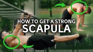 Do these 5 Exercises to get a STRONG Scapula [upl. by Maxey]